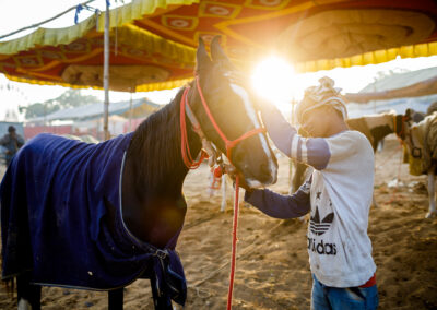 A young horse shepherd is spending some intimate time with his horse during Pushkar Mela.