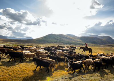 Eagle hunters' migration in the Altai mountains during autumn.