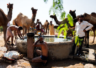 Camel herders bathing and drawing water at a well with camels standing nearby at Pushkar Fair in Rajasthan, India.