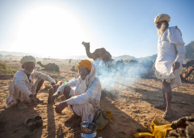 Camel herders with their camels during Pushkar Mela, Rajasthan.