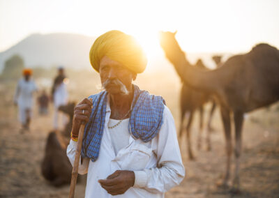 An elderly Rajasthani man with a yellow turban and white shirt holding a wooden stick, standing among camels at sunrise at Pushkar Mela.