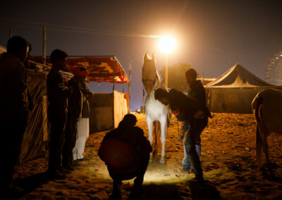 A group of horse traders gather around a Marwari horse illuminated by a street light at night during the Pushkar Camel Fair in Rajasthan, India. The traders inspect the horse while the fairground tents and a Ferris wheel are visible in the background.