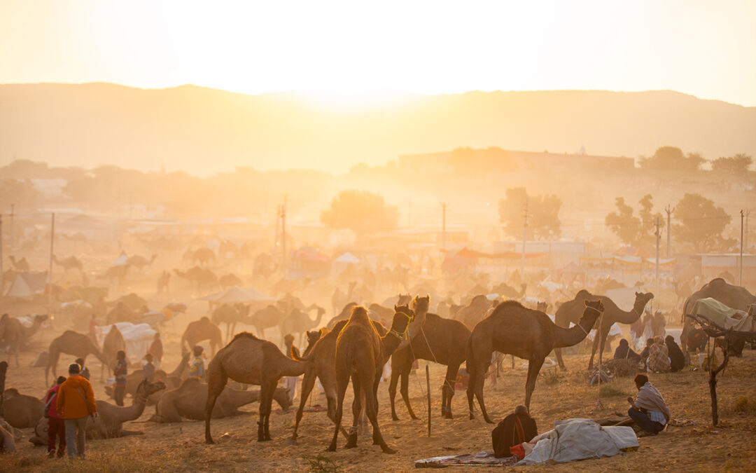 Top 15 Photo Opportunities at the Pushkar Camel Fair: A Photographer’s Field Guide