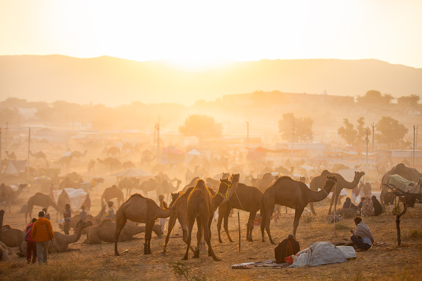 Top 15 Photo Opportunities at the Pushkar Camel Fair: A Photographer’s Field Guide