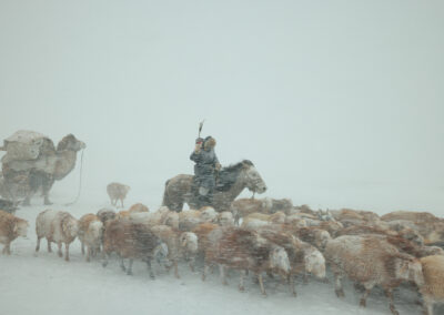 Eagle Hunter Yermyek’s son Akhtikek is migrating with his animals in the Altai mountains during a brutal snowstorm.